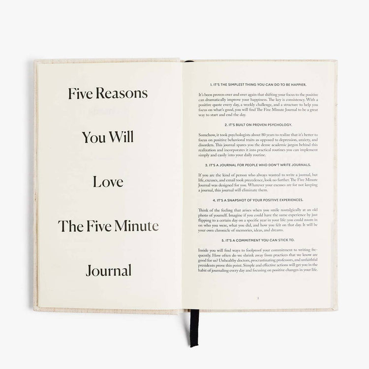 The Five Minute Journal in Pink Stripe