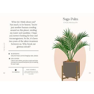 Houseplants and Their Fucked-Up Thoughts Book