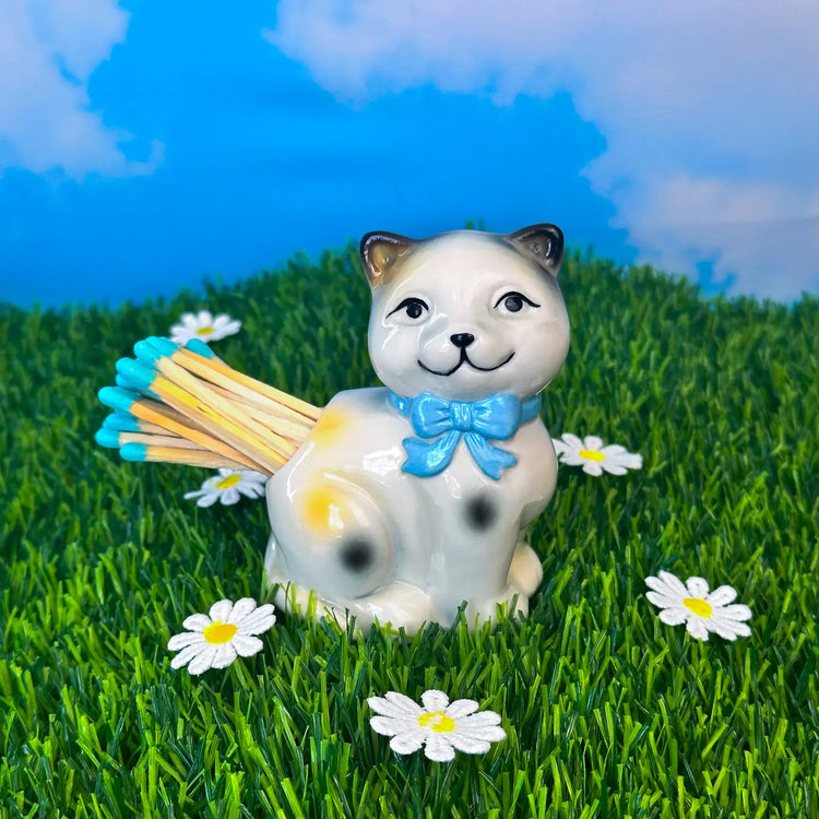 Kitty Match Striker- Calico
