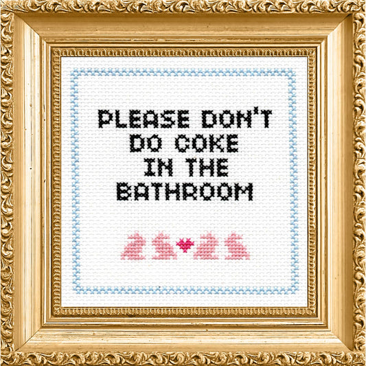 Please Don't Do Coke in the Bathroom Cross Stitch Kit