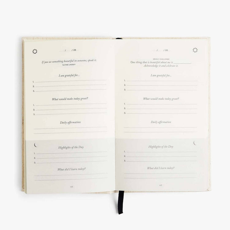 The Five Minute Journal in Pink Stripe