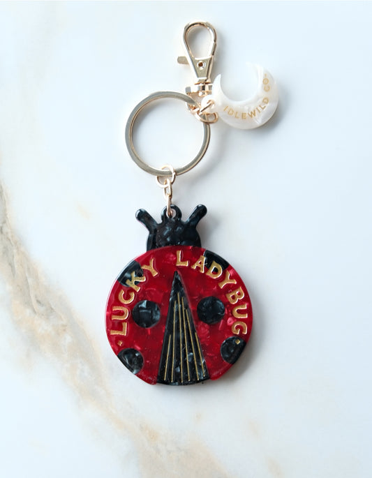 Ladybug Lucky Bag Charm