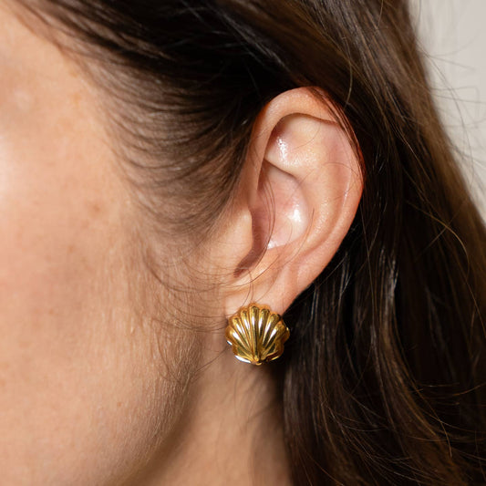 Shell Earrings Double