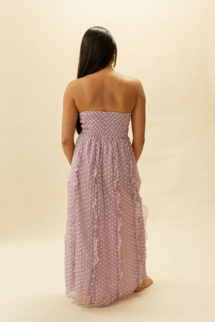 Tiny Embroidered Daisies Ruffled Maxi Dress in Purple