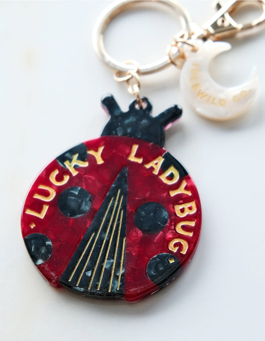 Ladybug Lucky Bag Charm