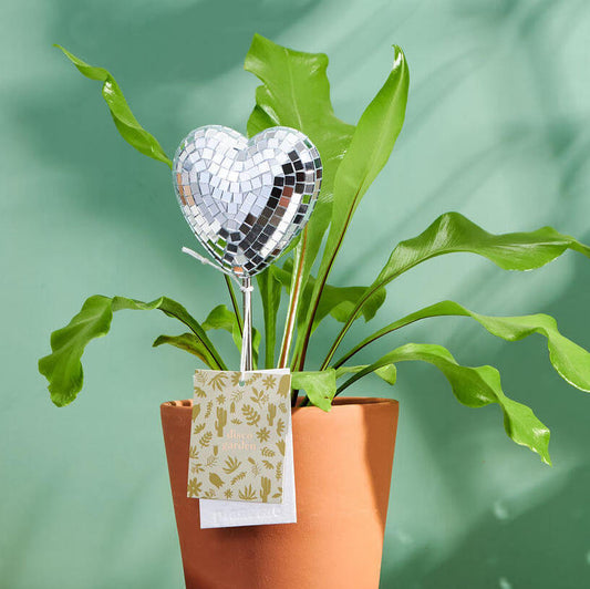 Disco Heart Decorative Plant Stake